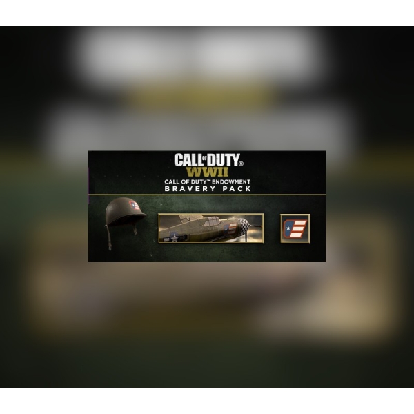 Call of Duty: WWII - Call of Duty Endowment Bravery Pack DLC Steam CD Key